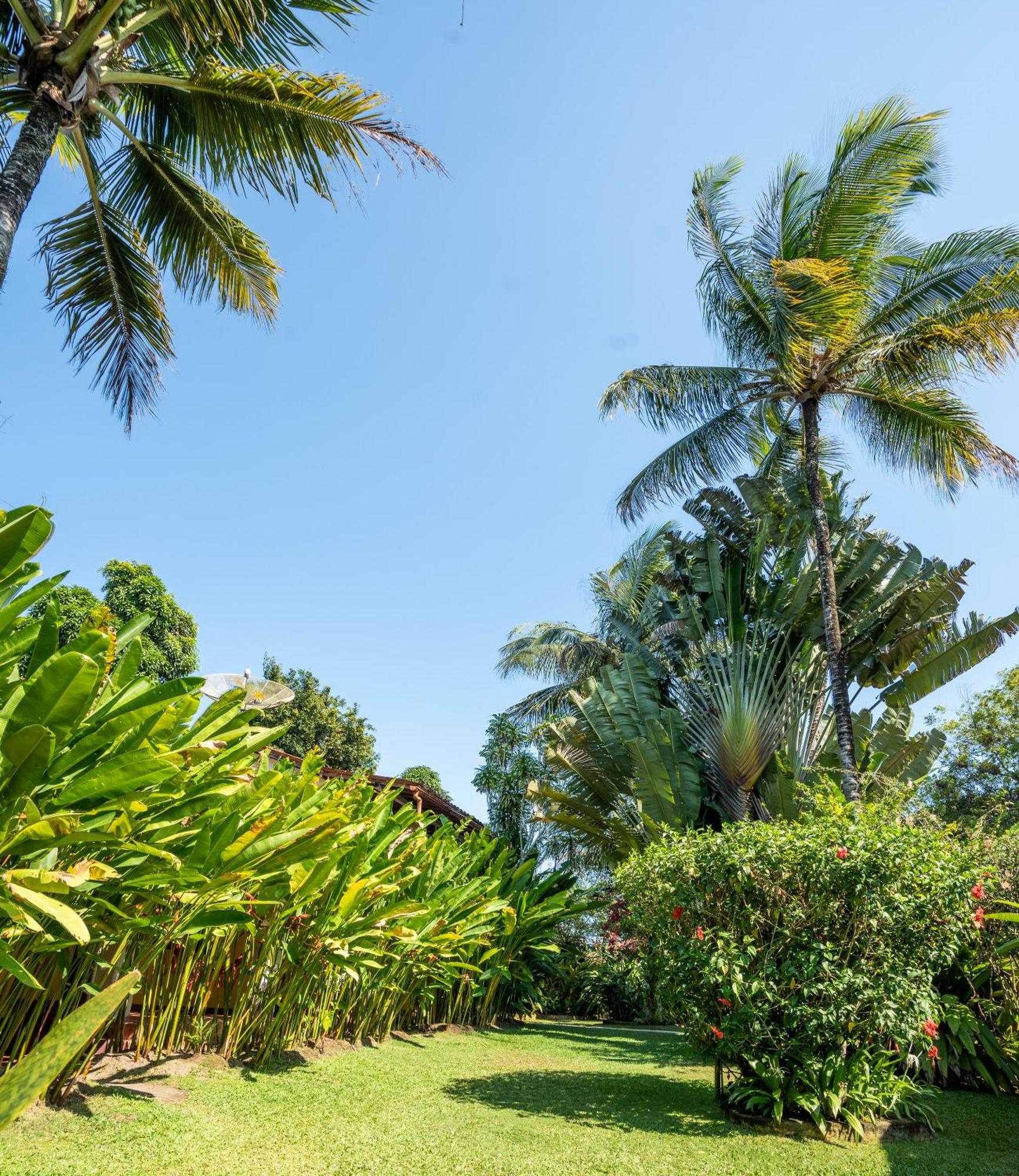 Pousada Jardim Das Margaridas Trancoso Luaran gambar