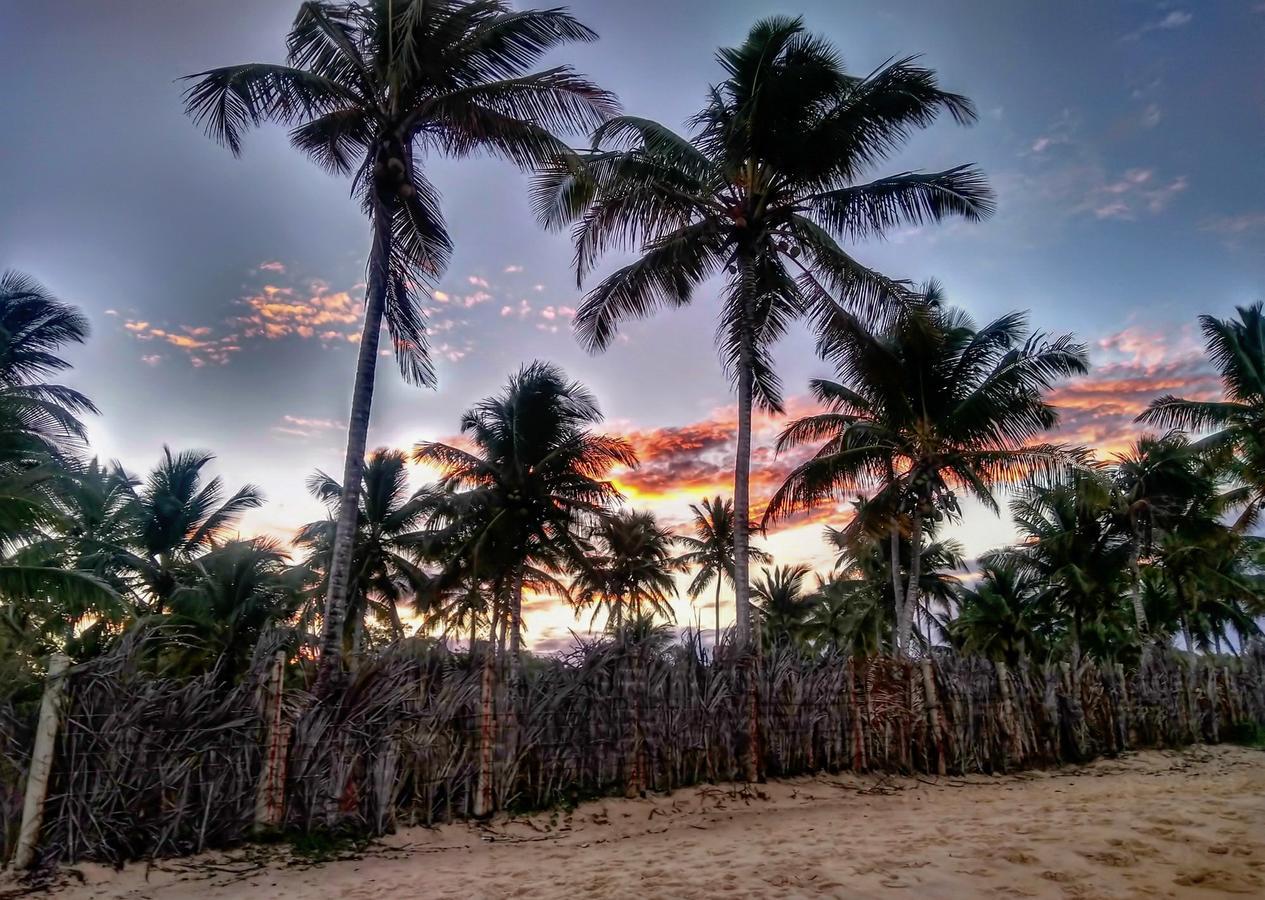 Pousada Jardim Das Margaridas Trancoso Luaran gambar