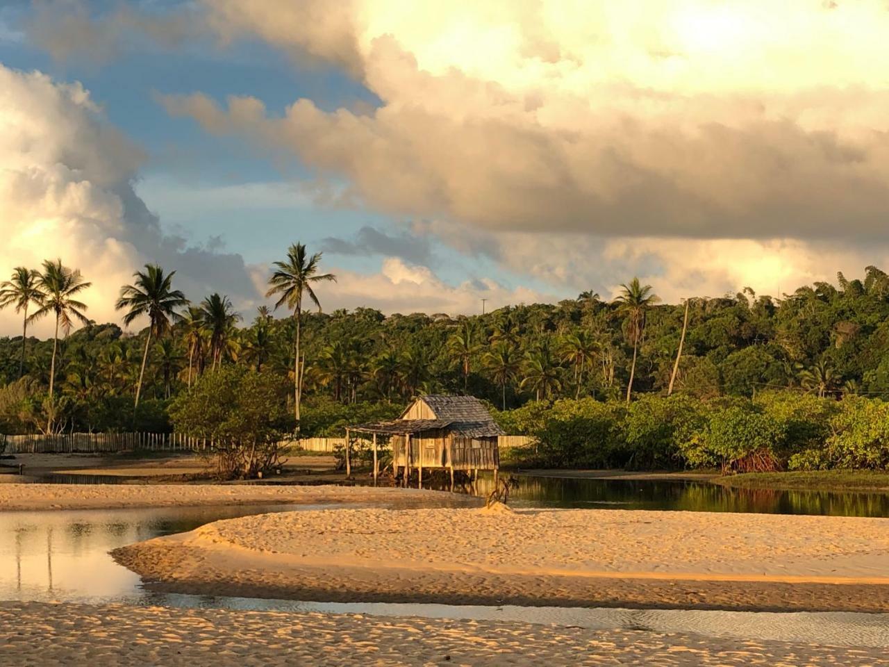 Pousada Jardim Das Margaridas Trancoso Luaran gambar